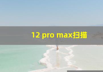 12 pro max扫描